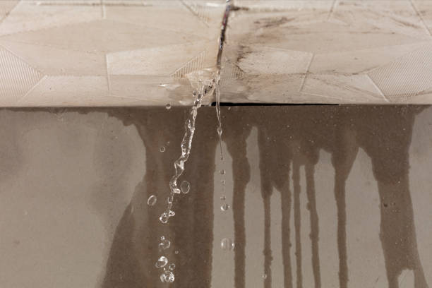 Professional Sewage Cleanup technician working in Carson City, MI